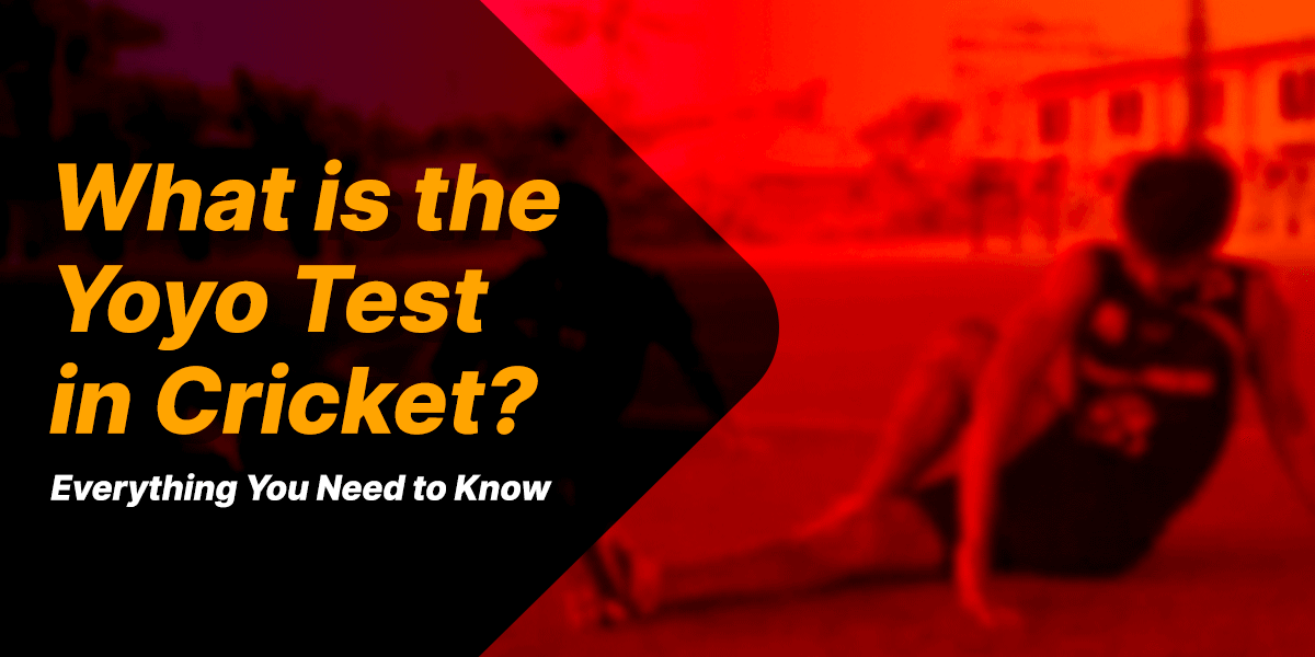 Cricket: everything you need to know